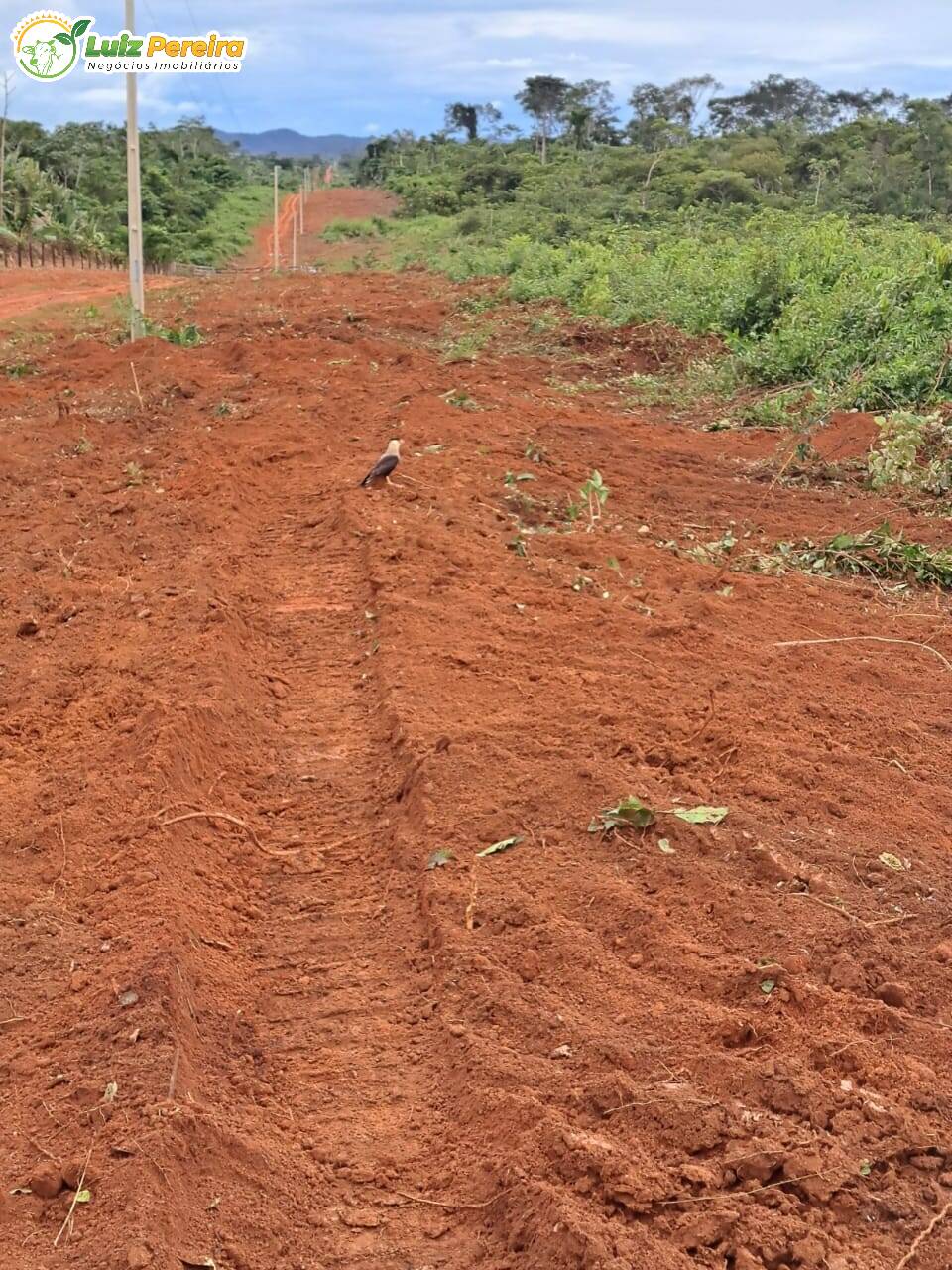 Terreno, 8107 m² - Foto 13