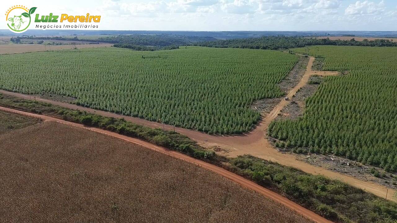 Terreno, 125 m² - Foto 4