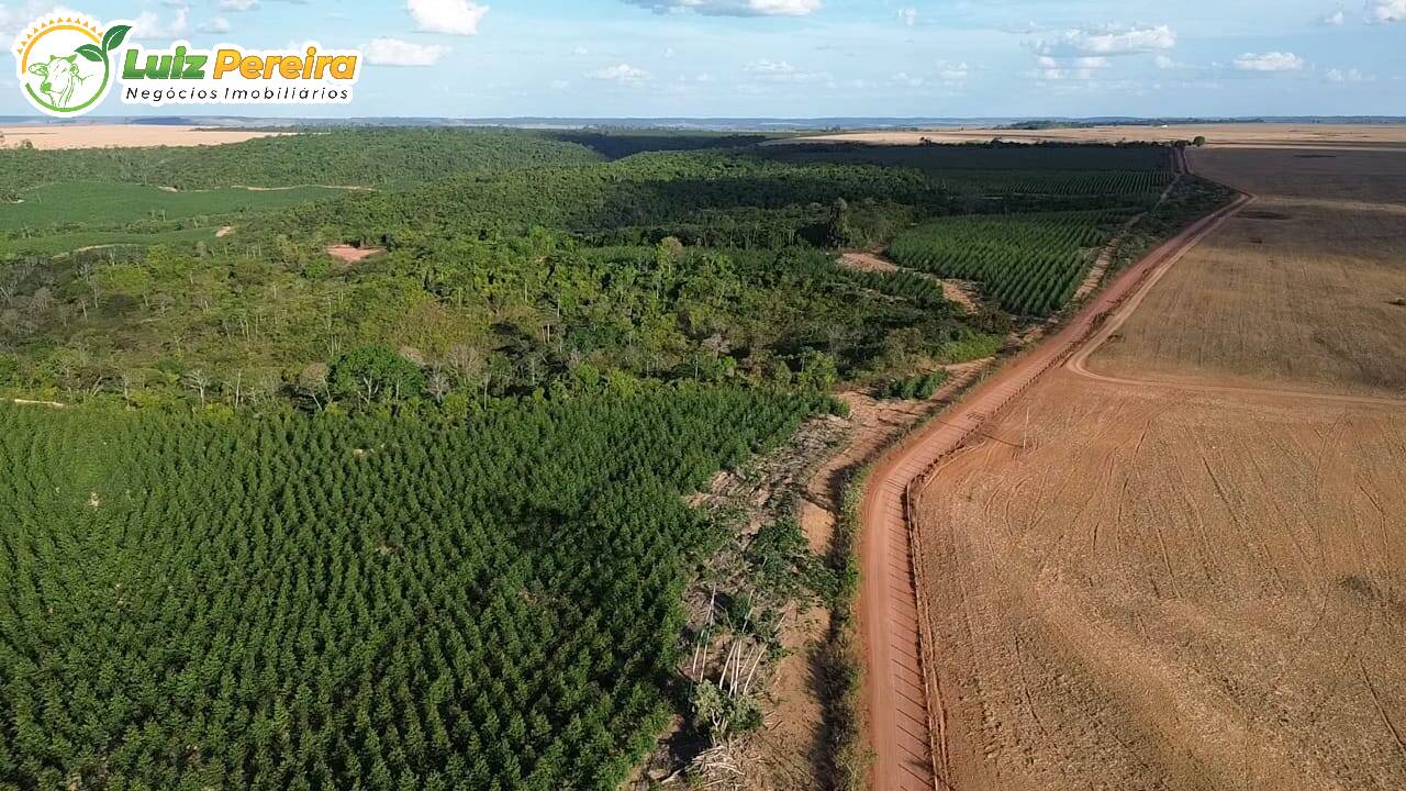 Terreno, 125 m² - Foto 7