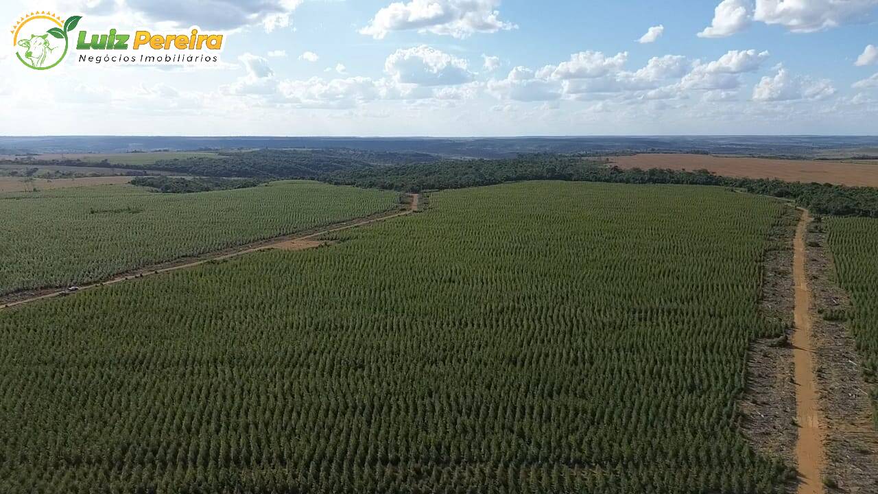 Terreno, 125 m² - Foto 5