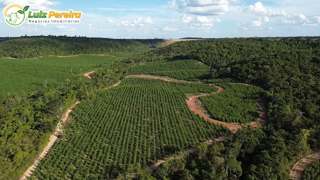 Terreno, 125 m² - Foto 8