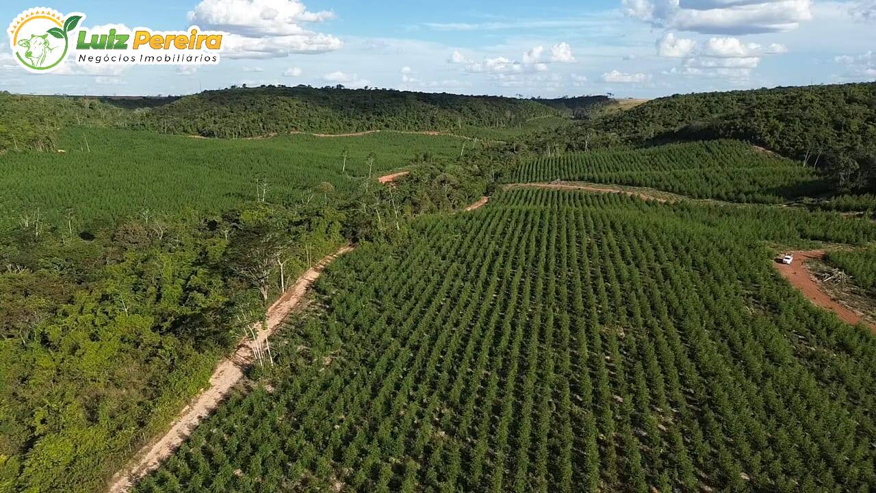 Terreno, 125 m² - Foto 10