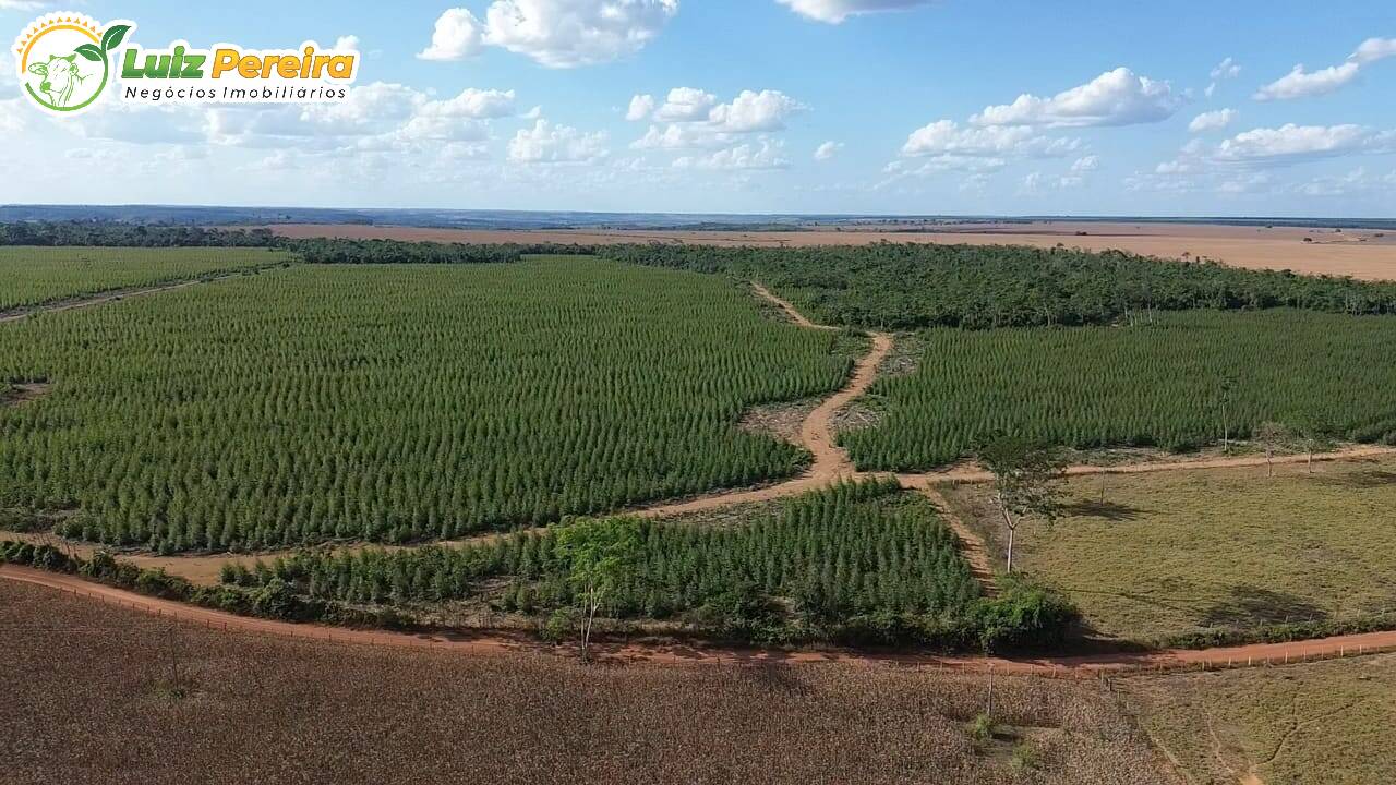 Terreno, 125 m² - Foto 1