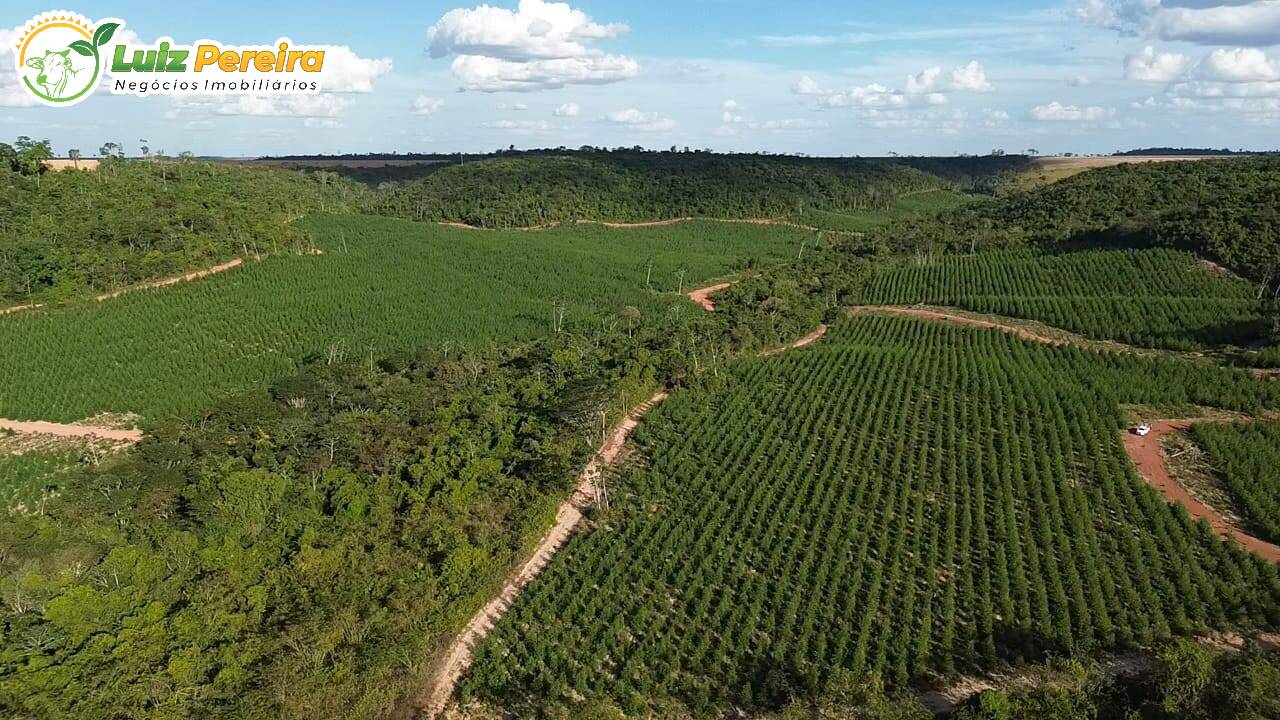 Terreno, 125 m² - Foto 11