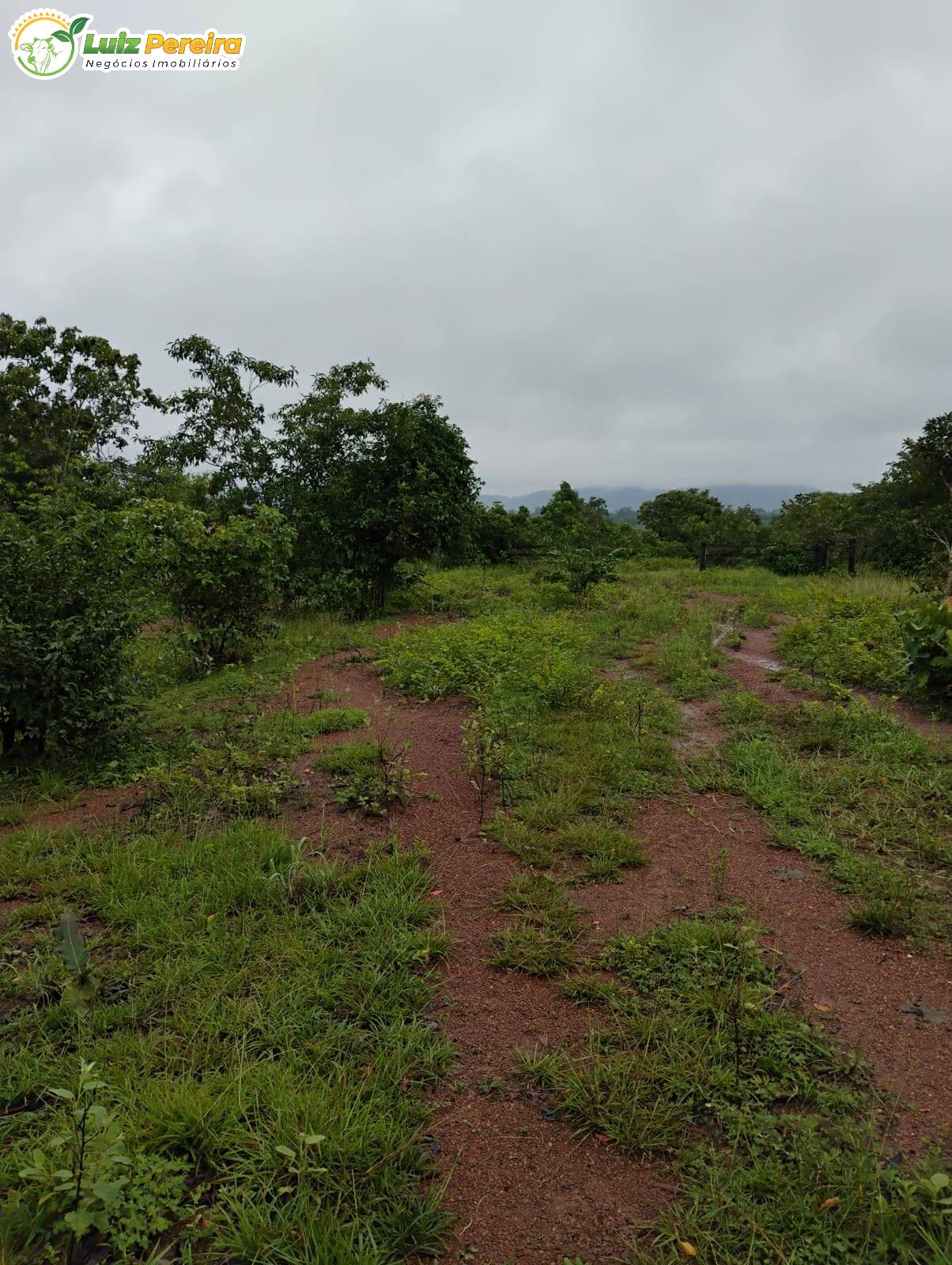Terreno à venda, 1549m² - Foto 8