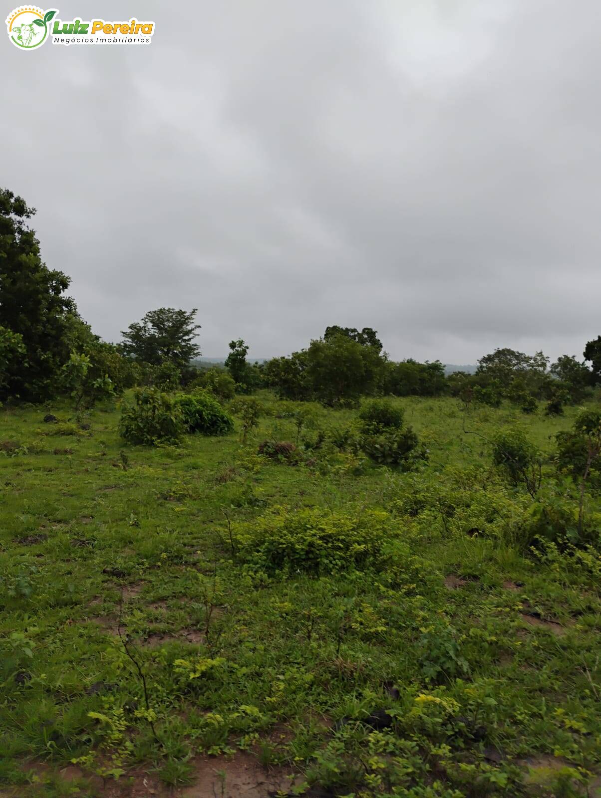 Terreno à venda, 1549m² - Foto 2