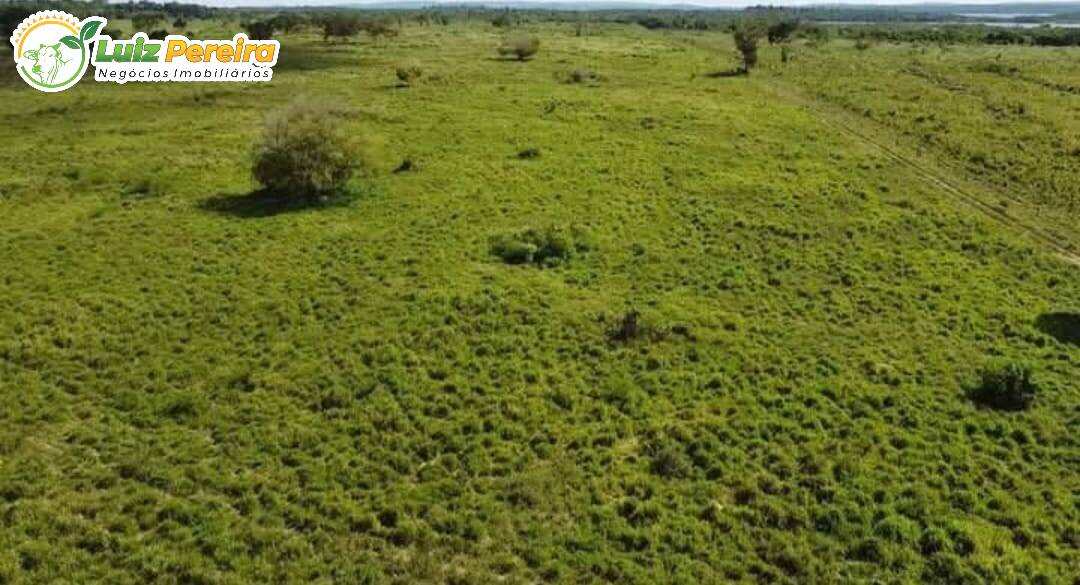 Terreno à venda, 677m² - Foto 2