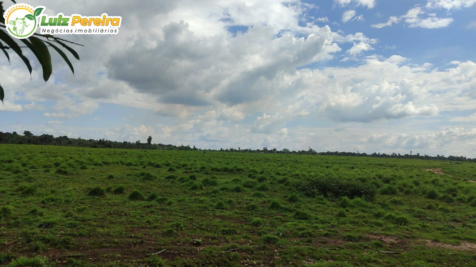 Terreno à venda, 968m² - Foto 3