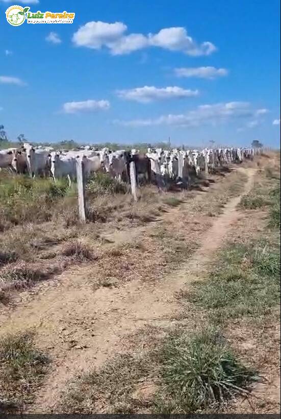 Terreno, 193 m² - Foto 1