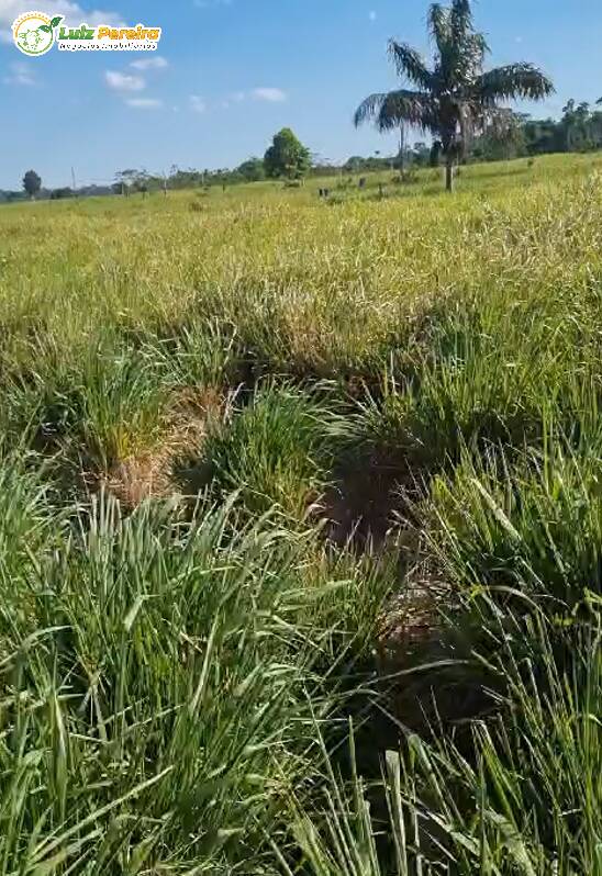 Terreno, 193 m² - Foto 3