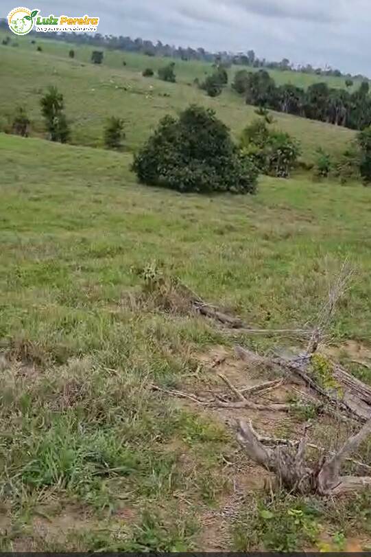 Terreno, 193 m² - Foto 5