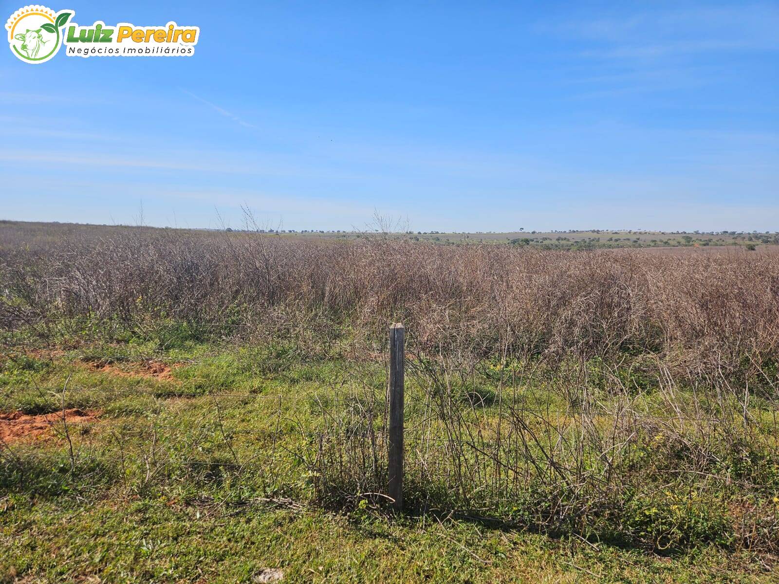 Terreno à venda, 339m² - Foto 2