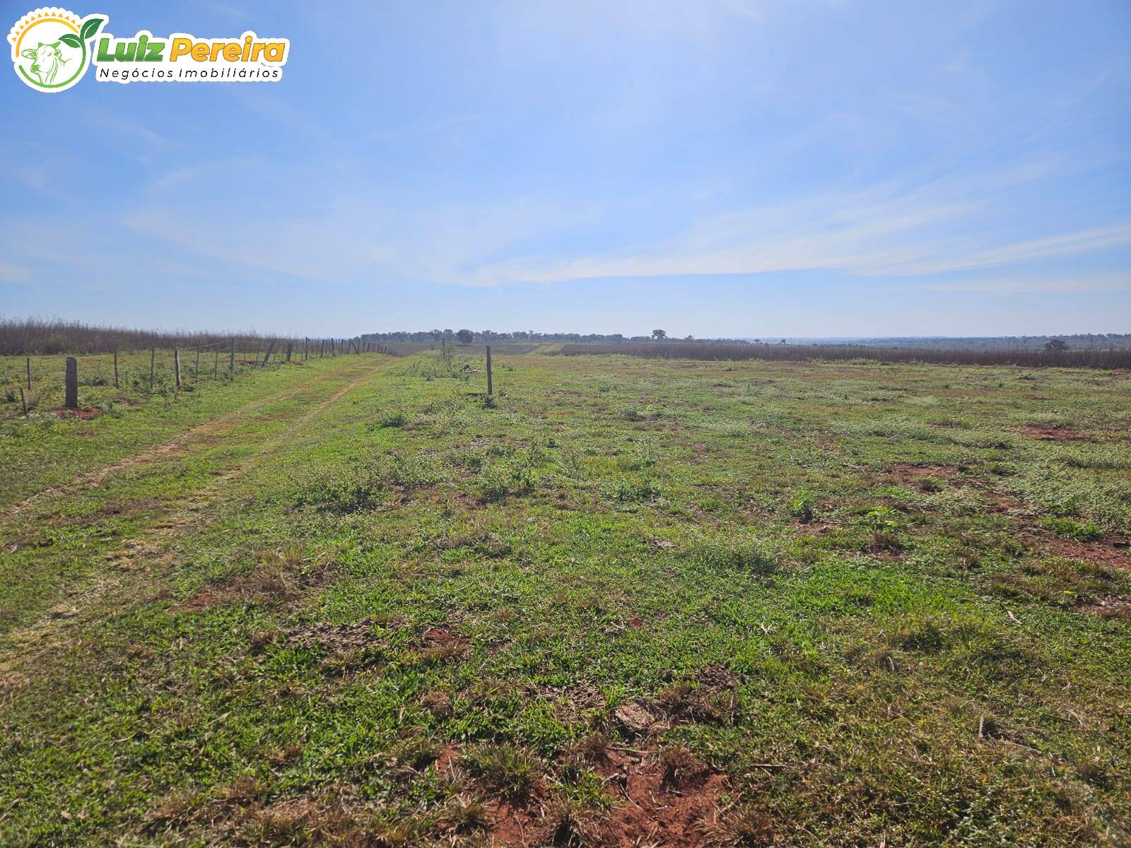 Terreno à venda, 423m² - Foto 1