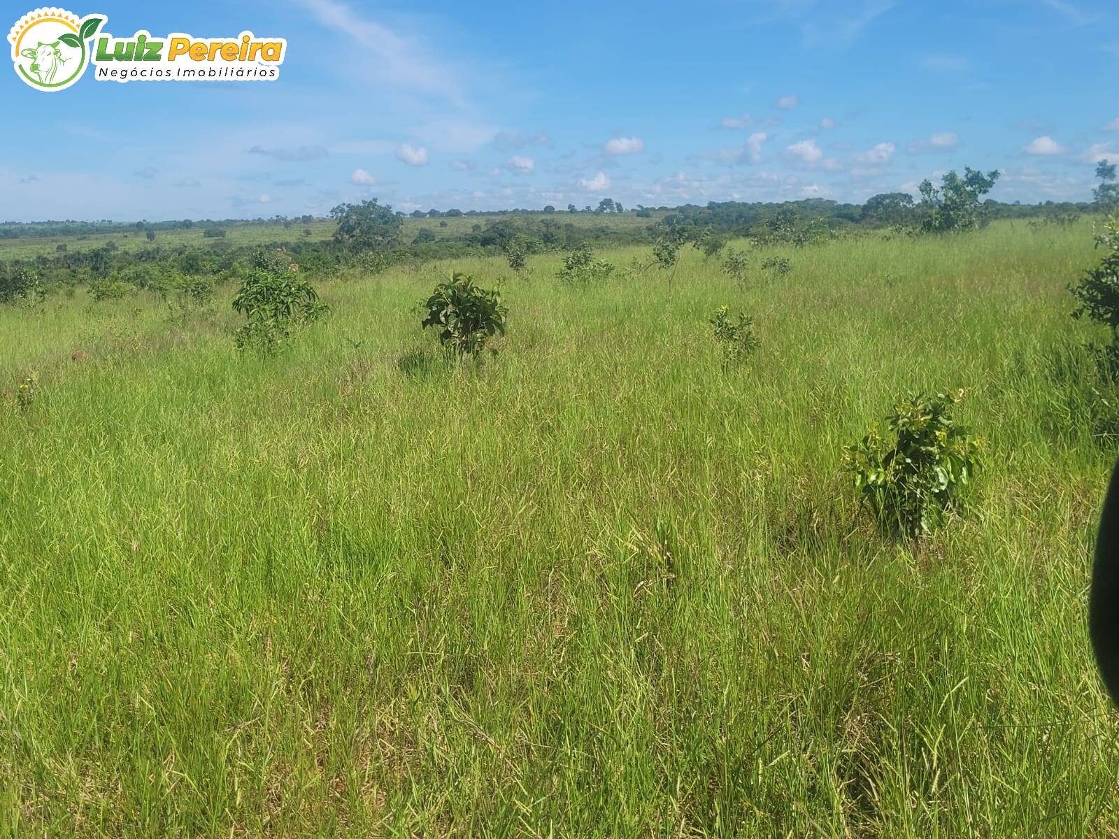 Terreno, 518 m² - Foto 4