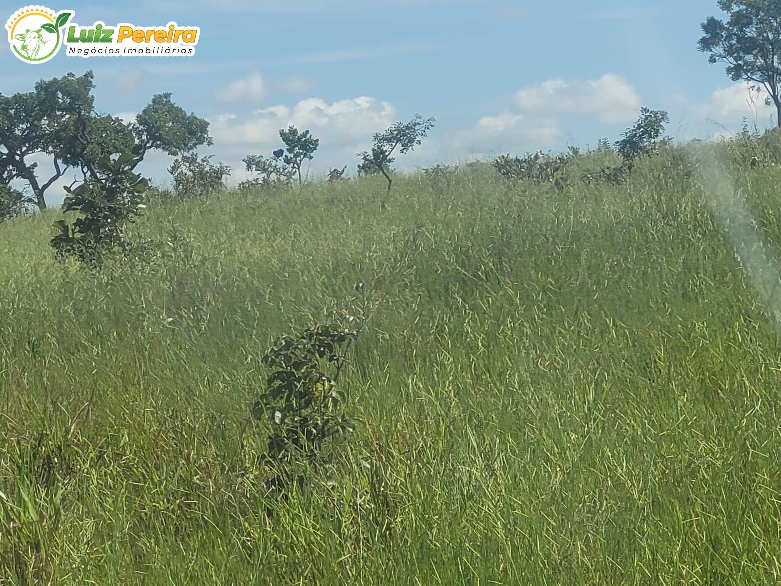 Terreno, 518 m² - Foto 6