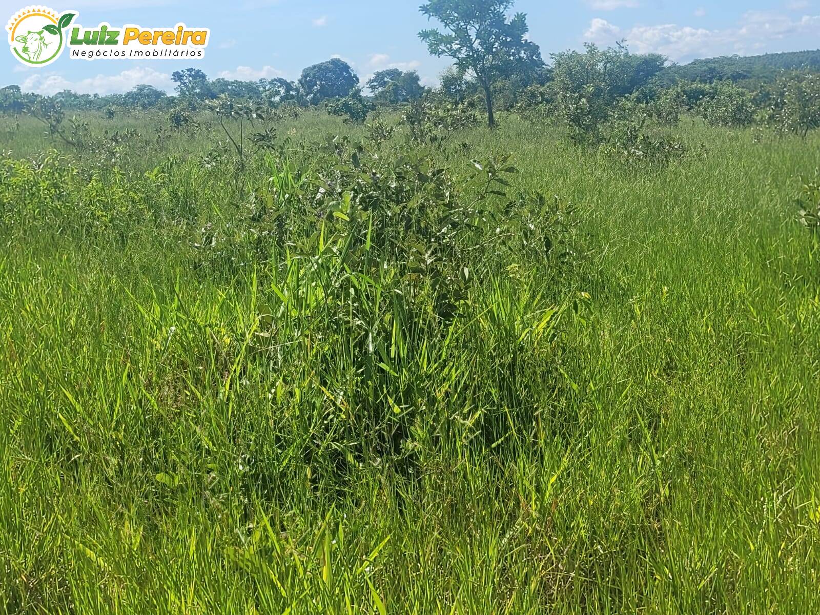 Terreno, 518 m² - Foto 12