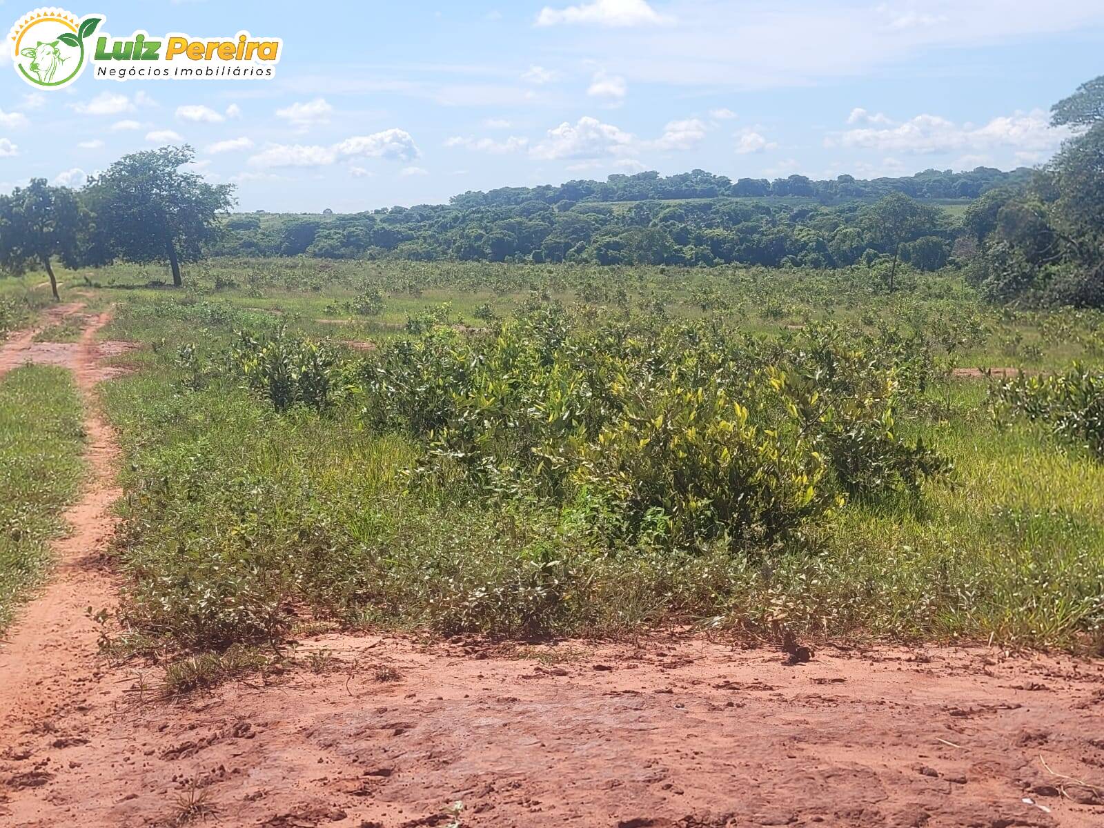 Terreno, 518 m² - Foto 9