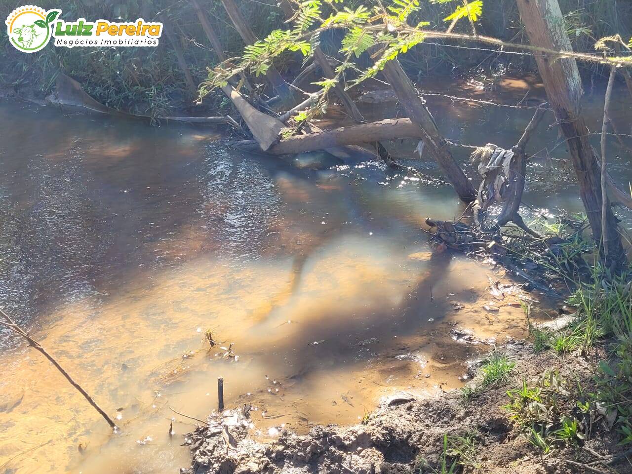 Terreno, 518 m² - Foto 13