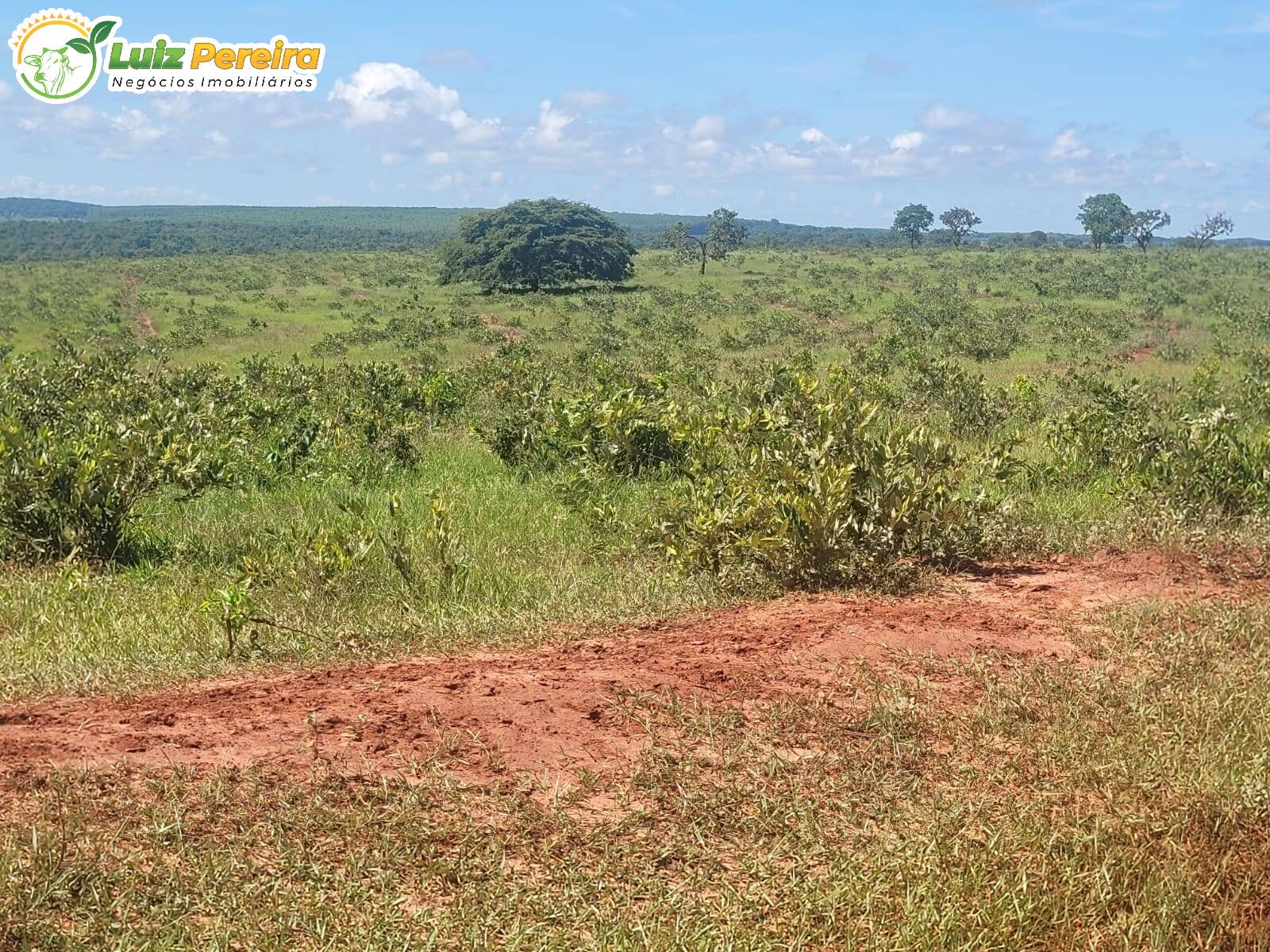 Terreno, 518 m² - Foto 11