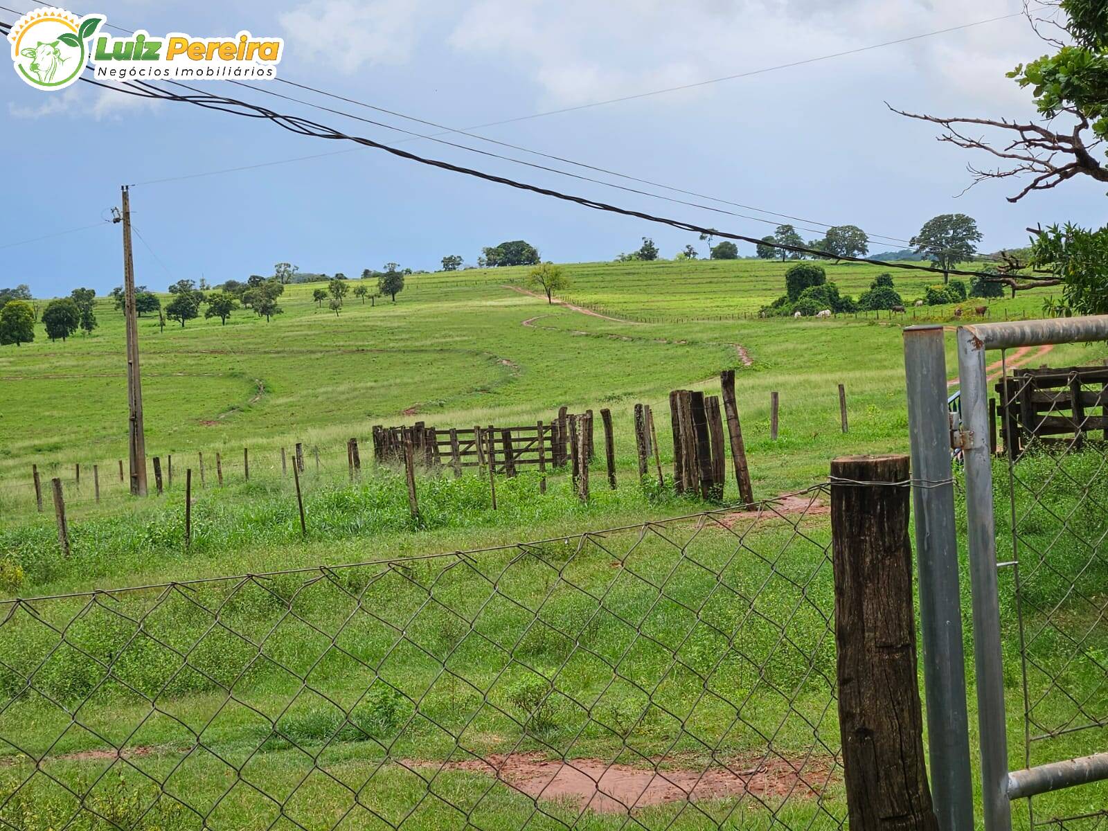 Terreno, 764 m² - Foto 13