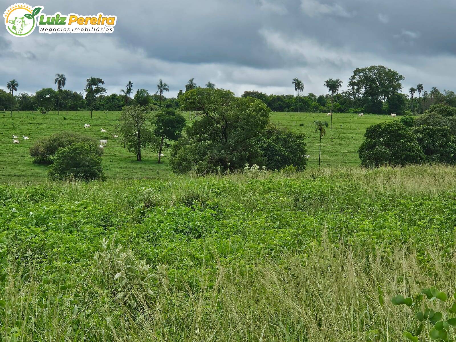 Terreno, 764 m² - Foto 14