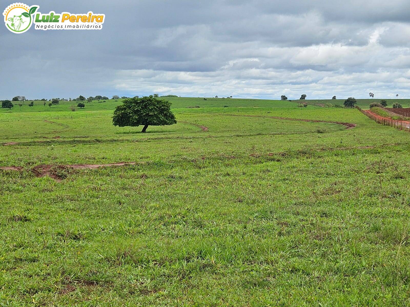 Terreno, 764 m² - Foto 15