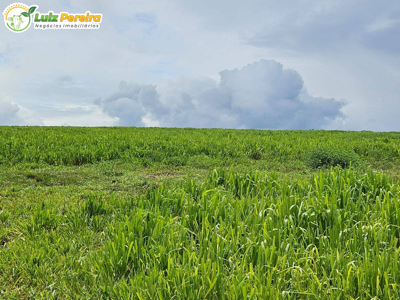 Terreno, 764 m² - Foto 16