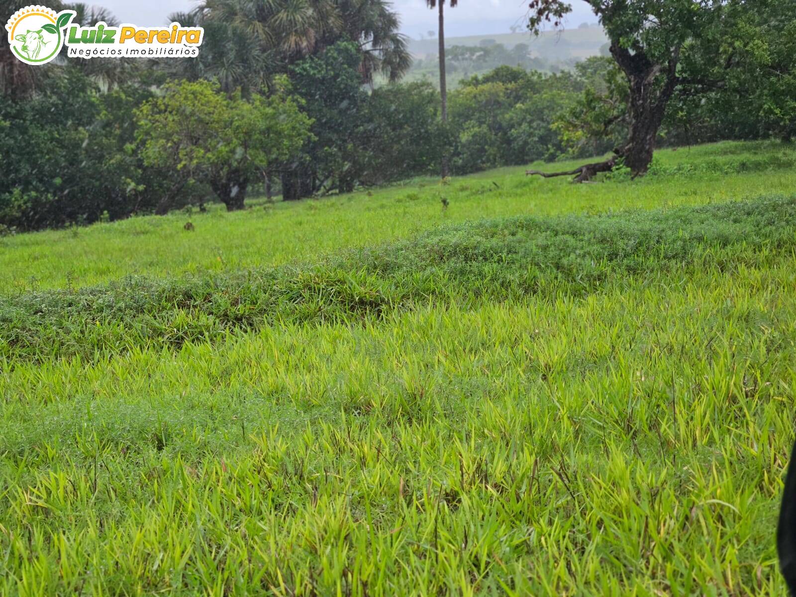 Terreno, 764 m² - Foto 18