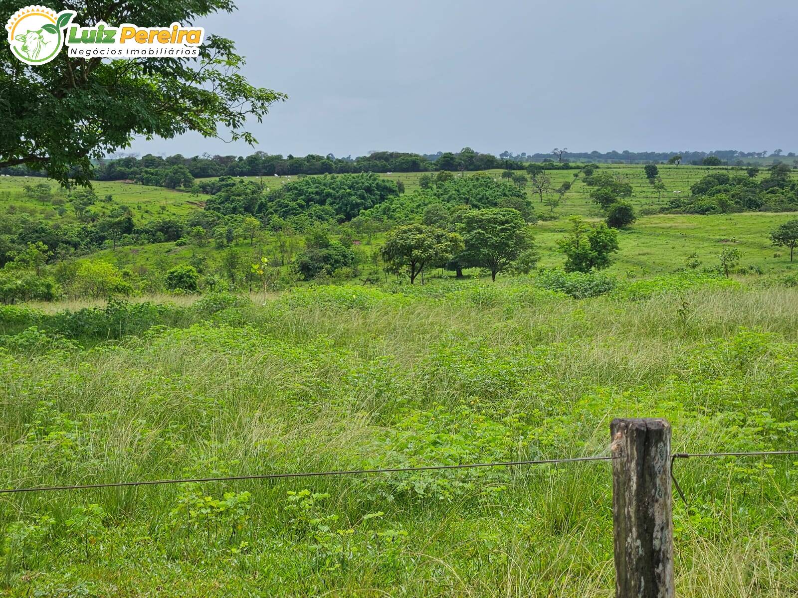 Terreno, 764 m² - Foto 3