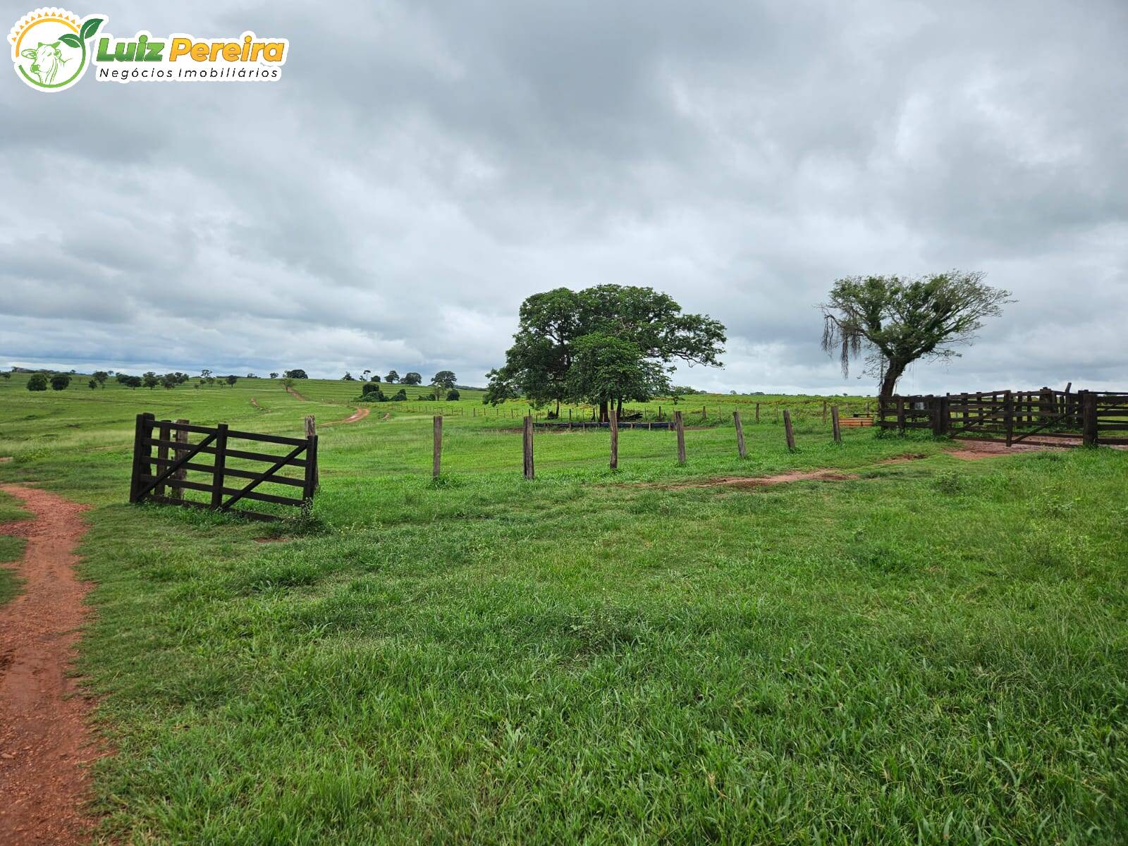 Terreno, 764 m² - Foto 6