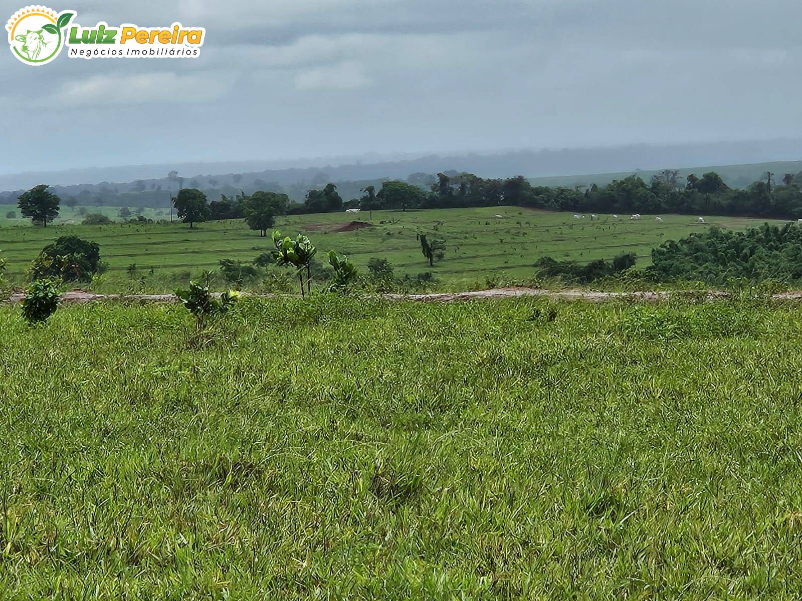 Terreno, 764 m² - Foto 7