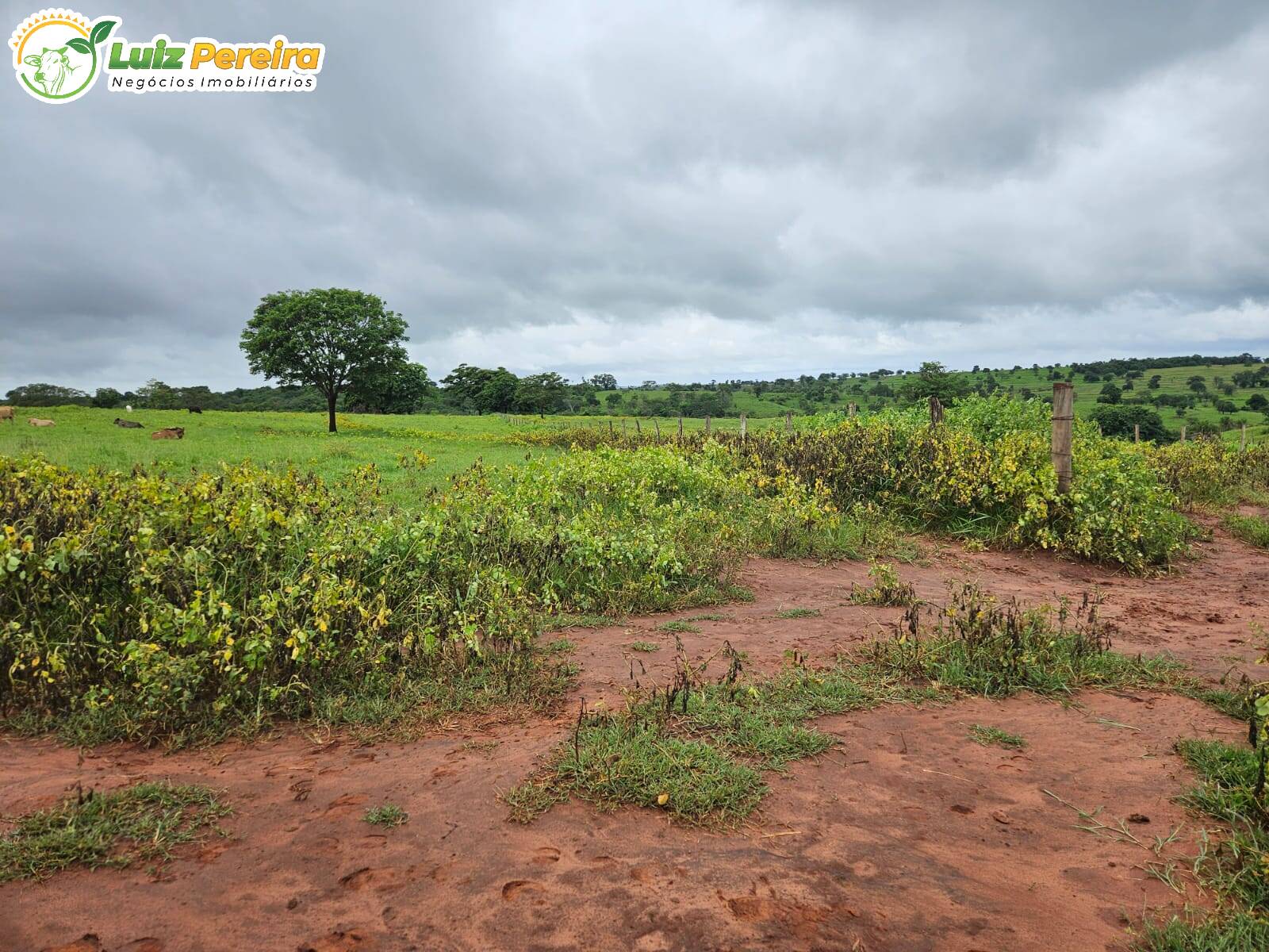 Terreno, 764 m² - Foto 22