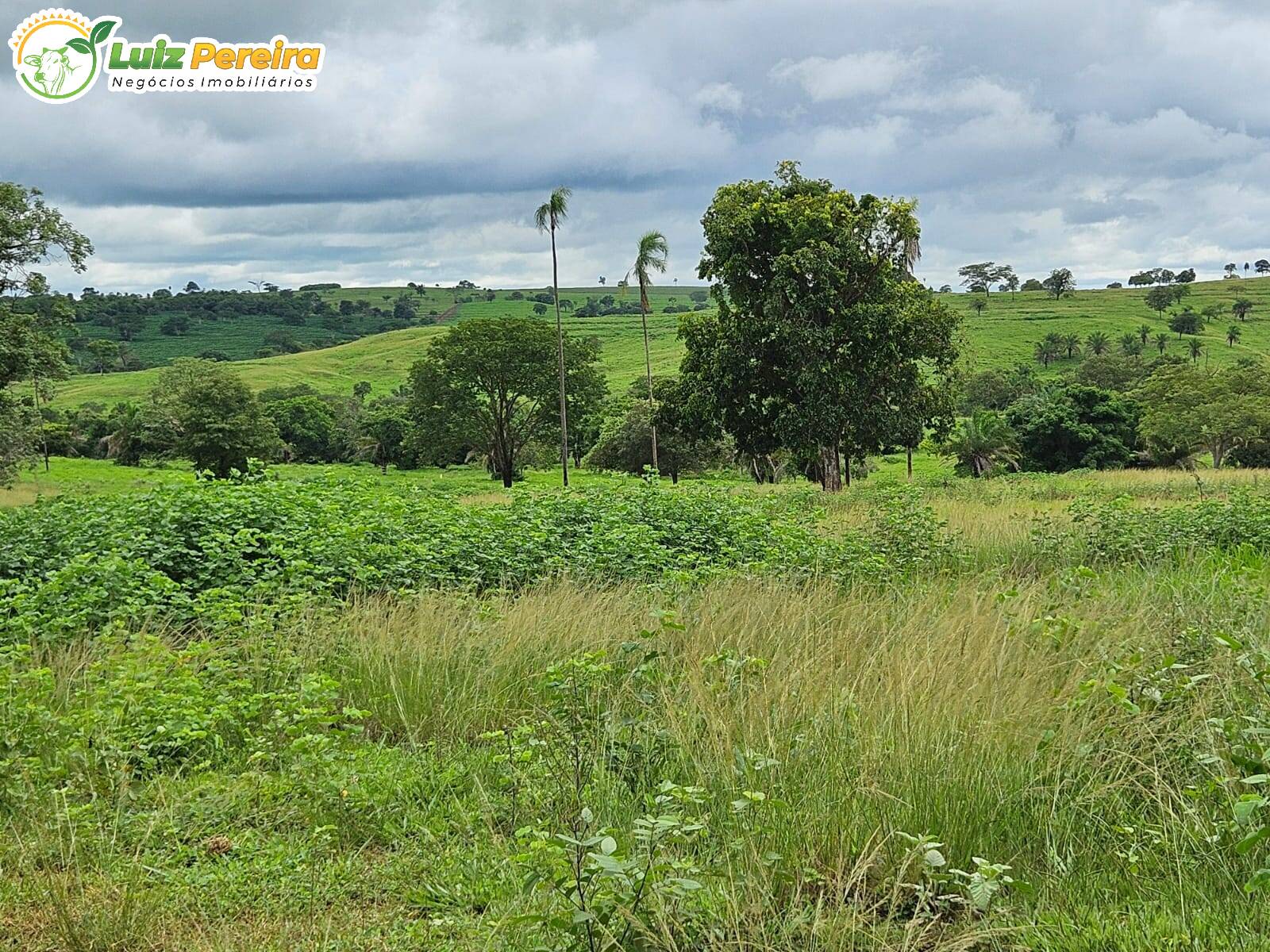 Terreno, 764 m² - Foto 8