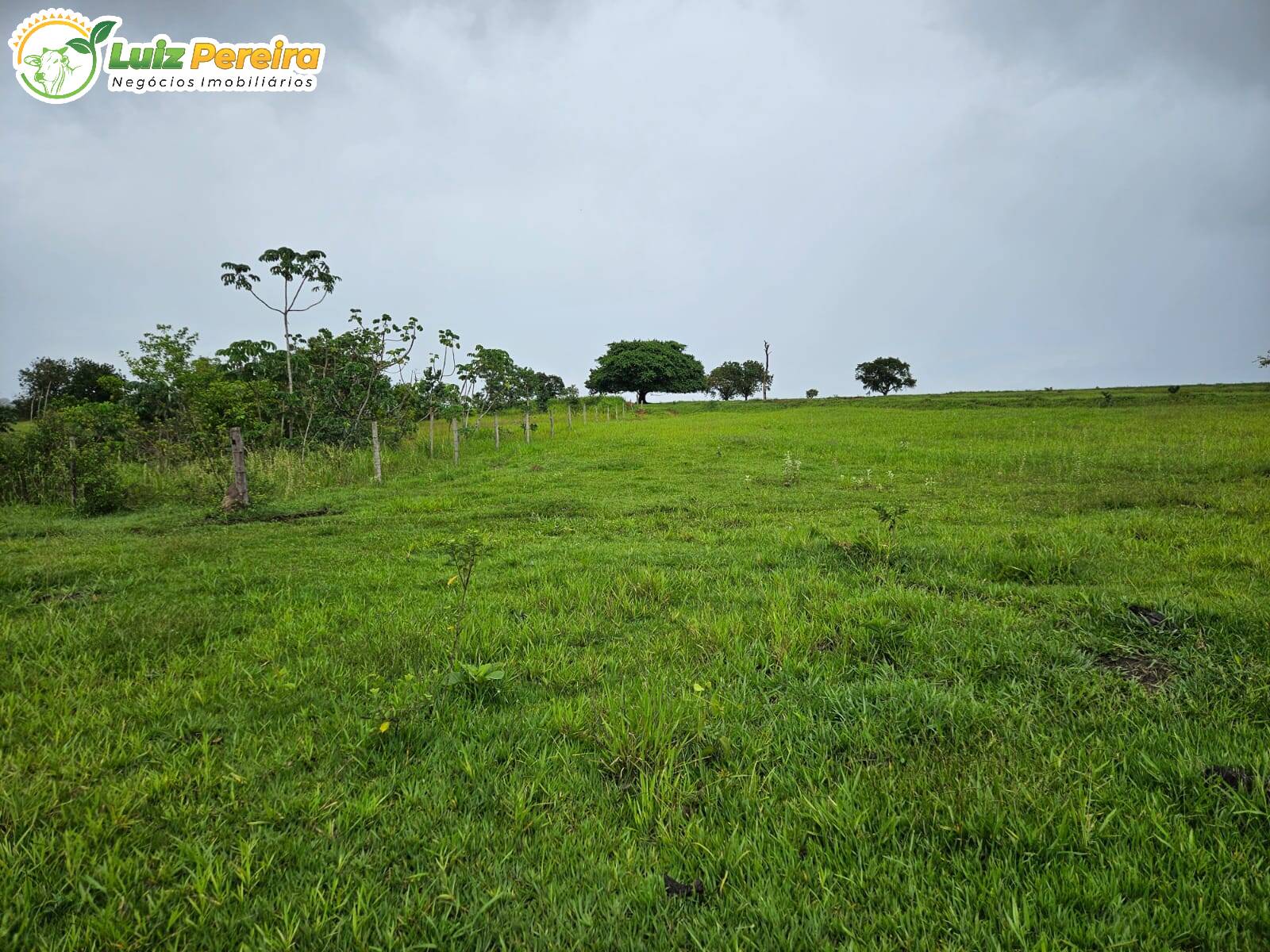 Terreno, 764 m² - Foto 9