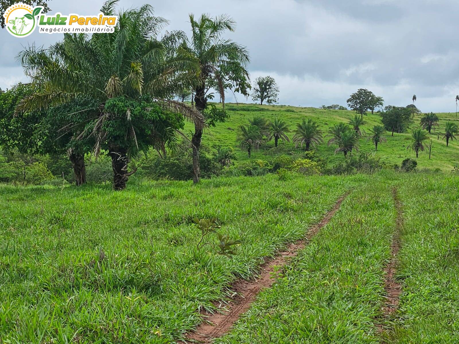 Terreno, 764 m² - Foto 20