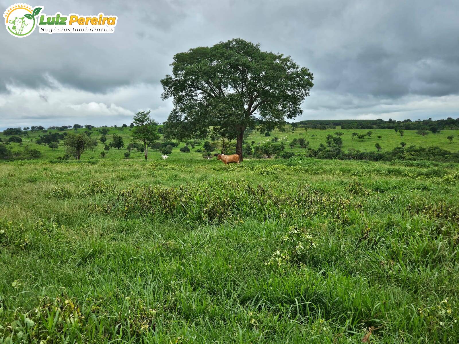 Terreno, 764 m² - Foto 11