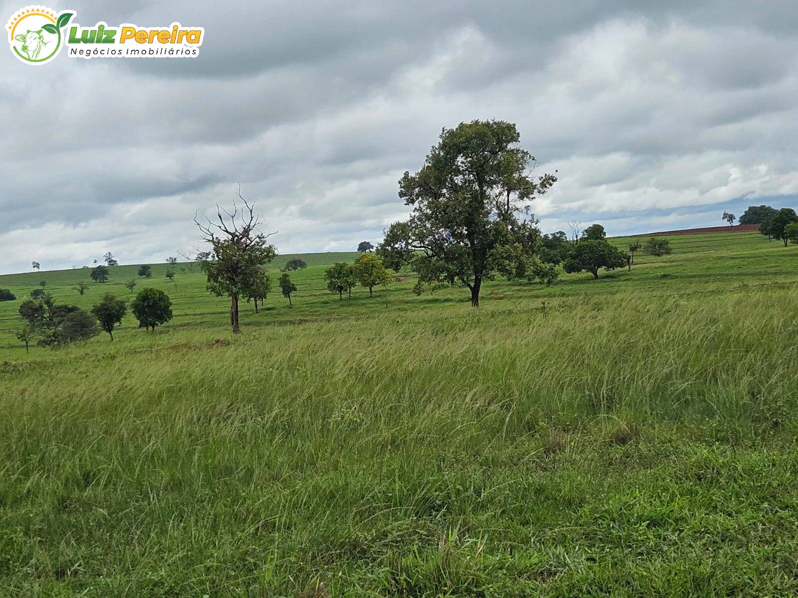 Terreno, 764 m² - Foto 10