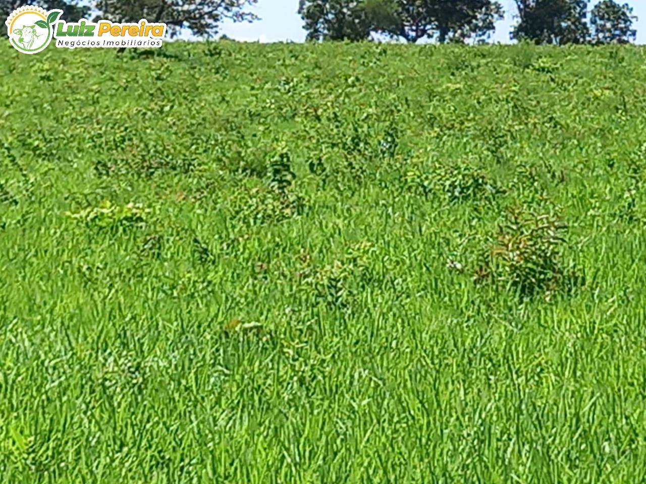 Terreno, 386 m² - Foto 6