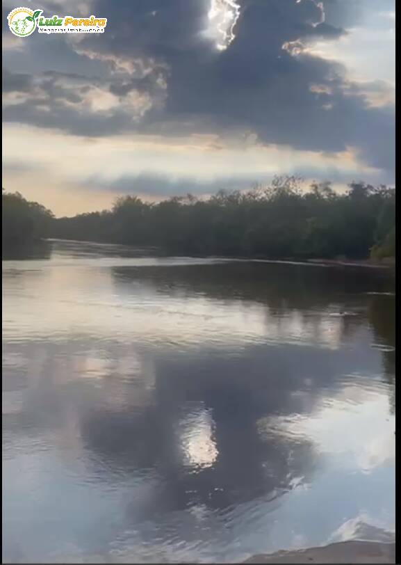 Terreno, 386 m² - Foto 4