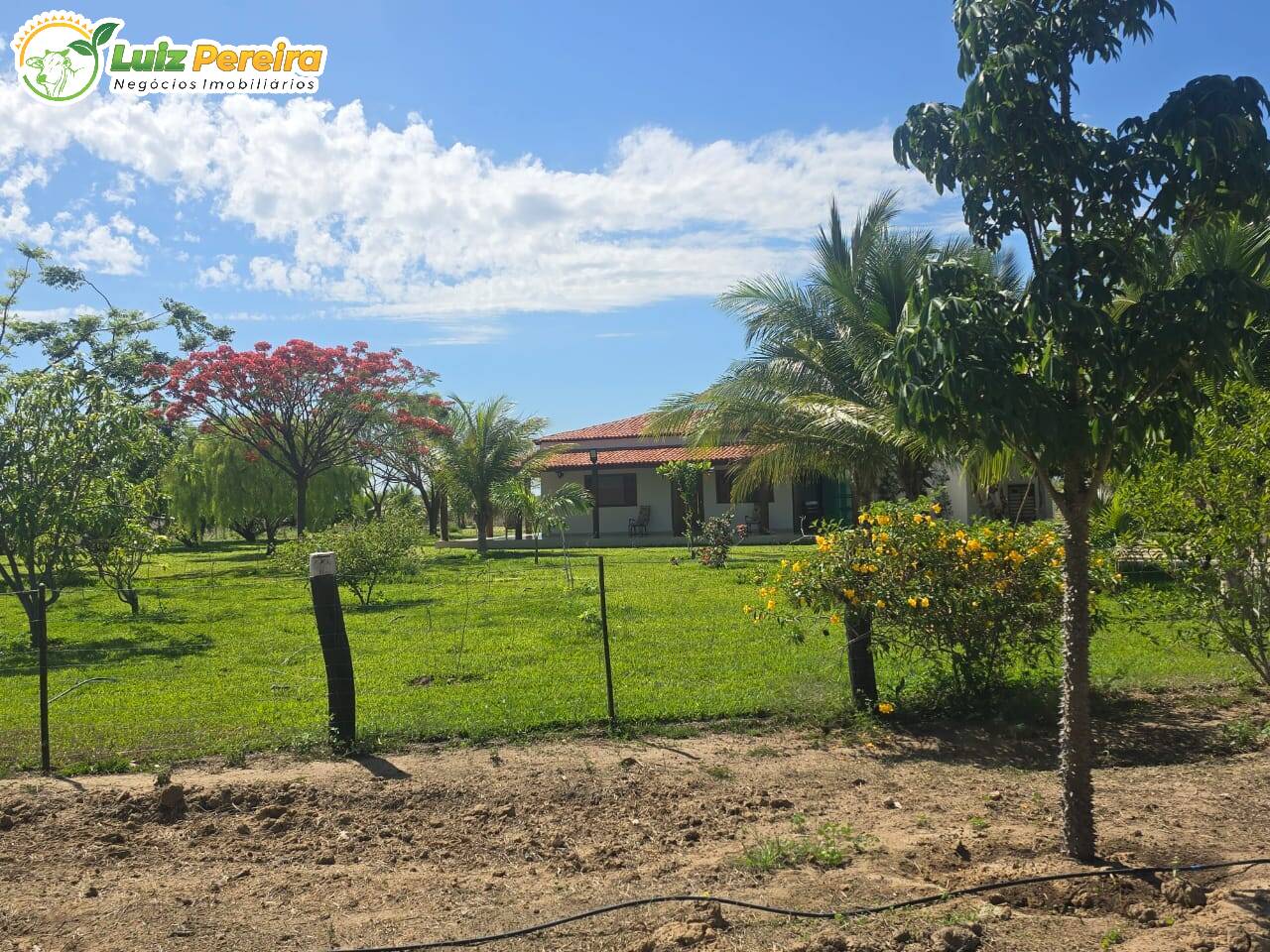 Terreno, 6100 m² - Foto 6