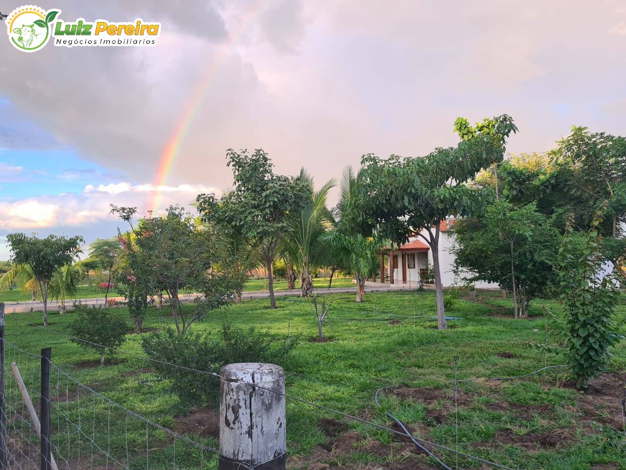 Terreno, 6100 m² - Foto 3