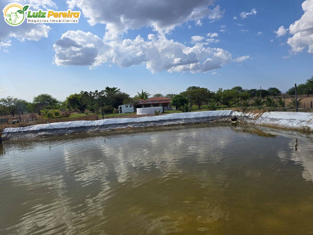 Terreno, 6100 m² - Foto 8