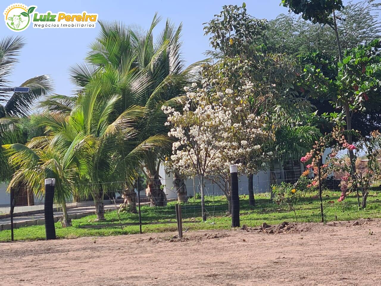 Terreno, 6100 m² - Foto 9