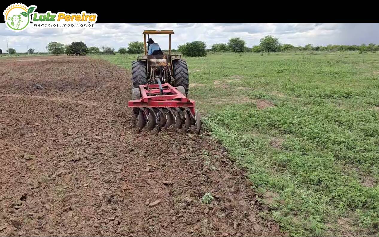 Terreno, 6100 m² - Foto 13