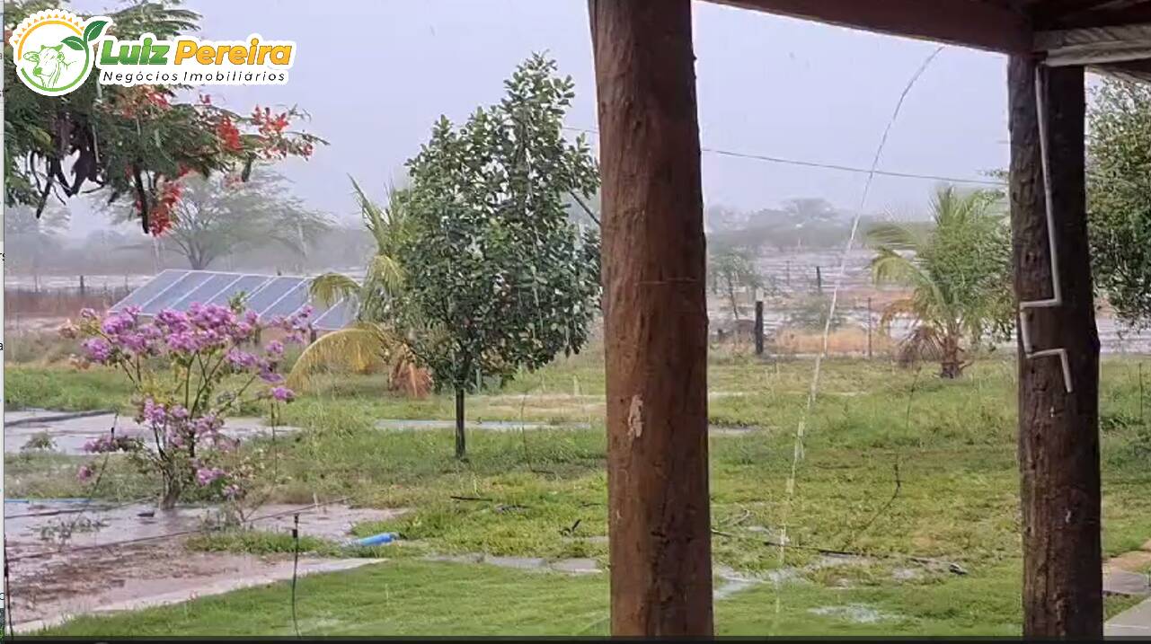 Terreno, 6100 m² - Foto 14