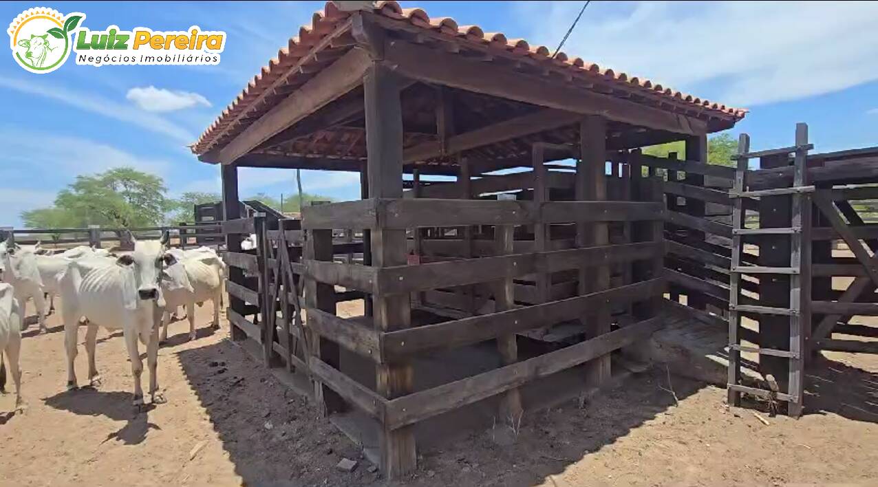 Terreno, 6100 m² - Foto 15