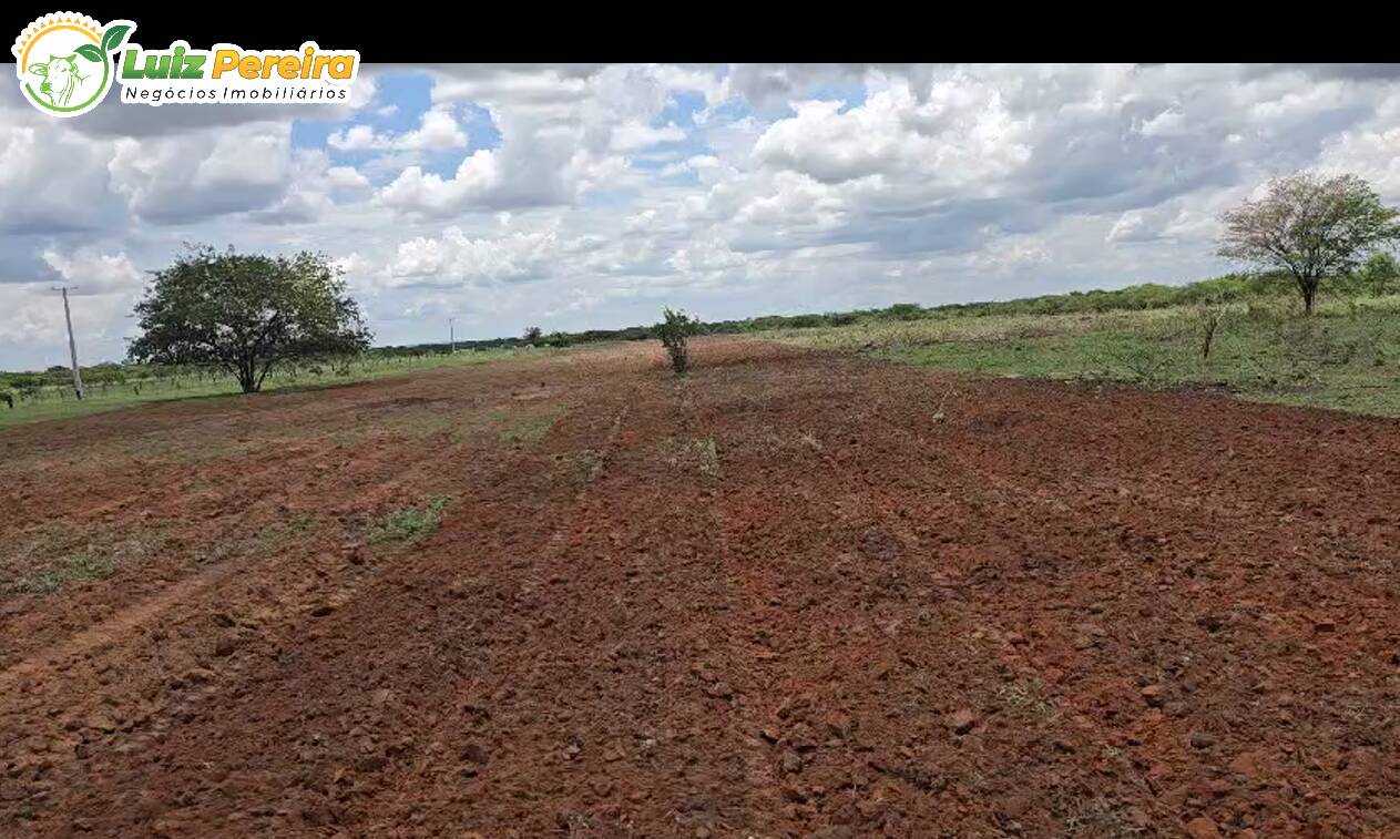 Terreno, 6100 m² - Foto 12