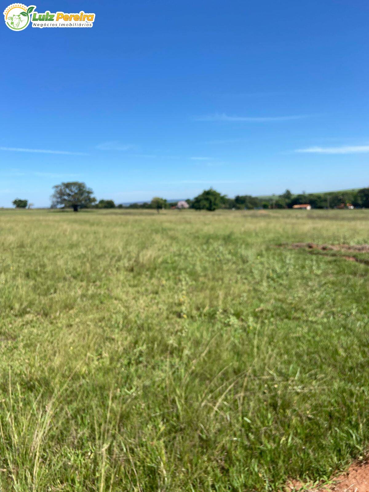 Terreno à venda, 491m² - Foto 2