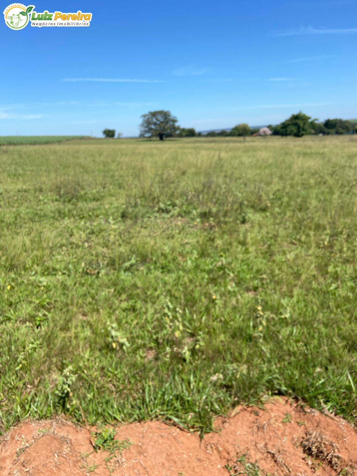 Terreno à venda, 491m² - Foto 1