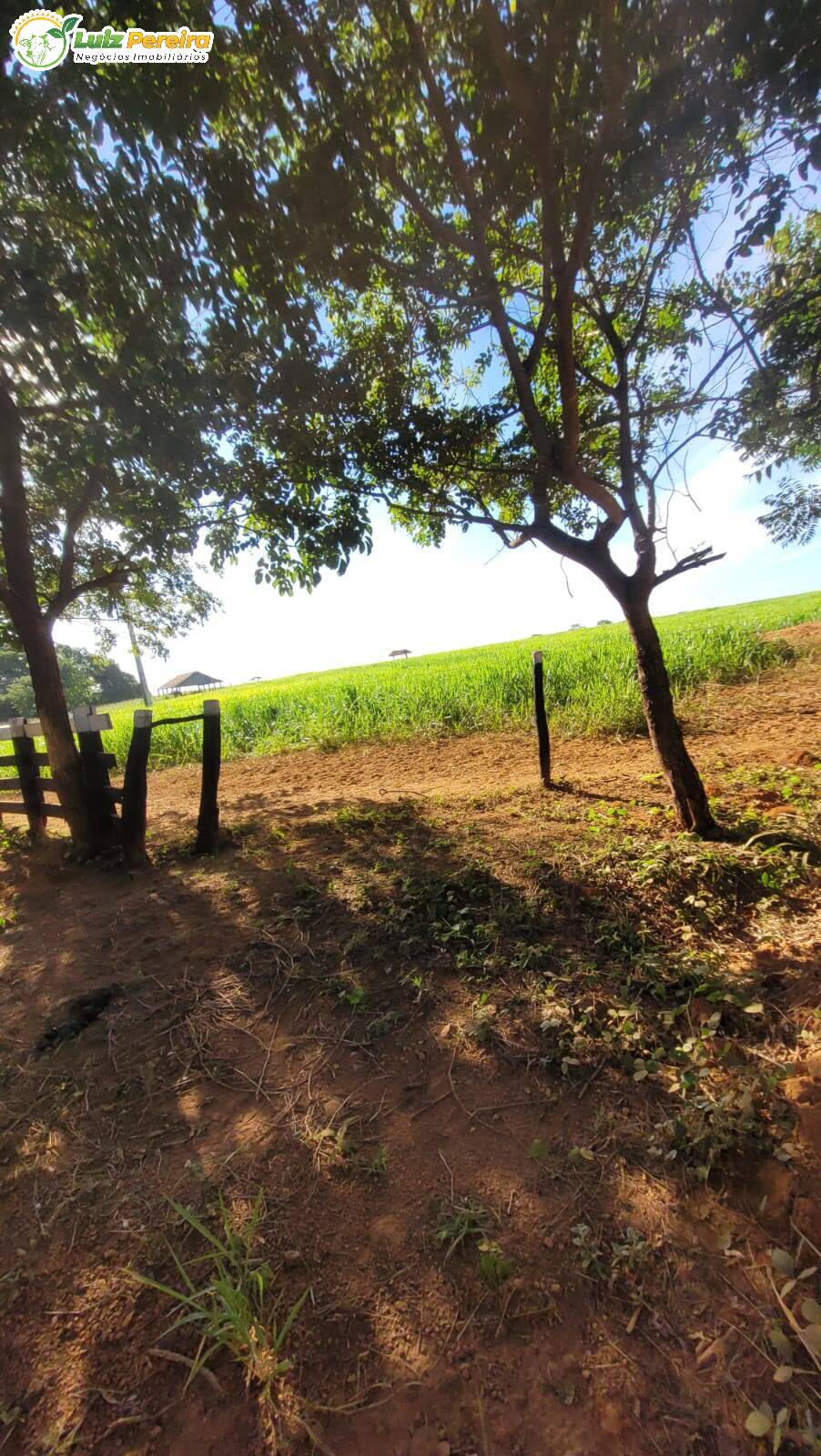 Terreno à venda, 60m² - Foto 10